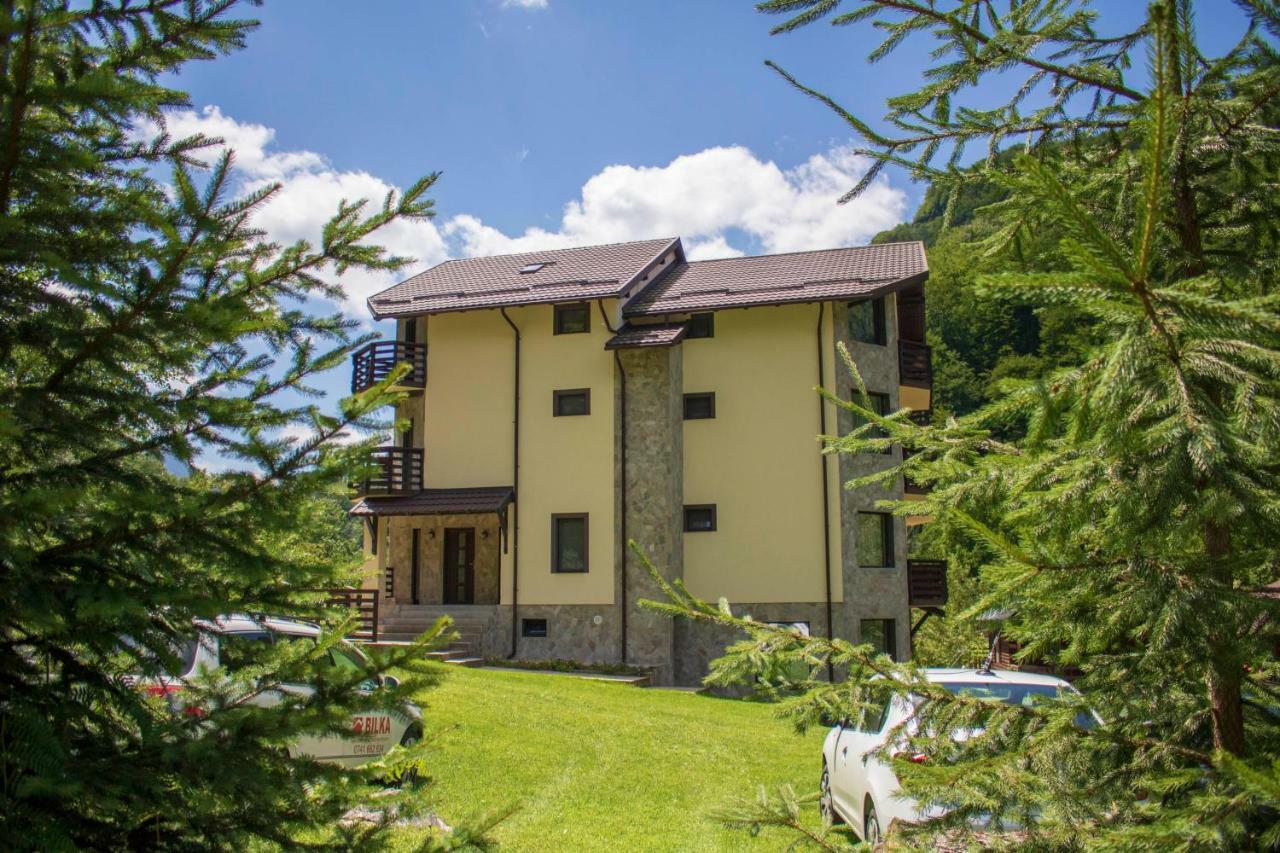 Casa Valea Cernei Hotel Isverna Buitenkant foto